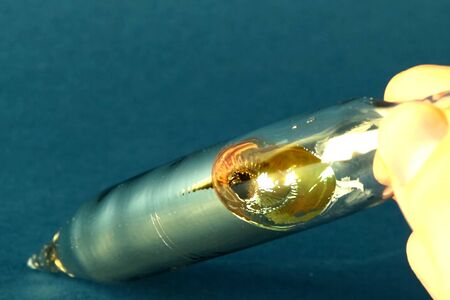 Cesium is the most active metal capsule for storing cesium.の写真素材