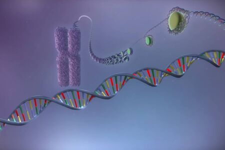 Image of the structure of chromosome and dna molecules, illustration of a moleculeの写真素材
