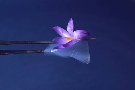 Airgel and experiences with it. Airgel properties.の写真素材