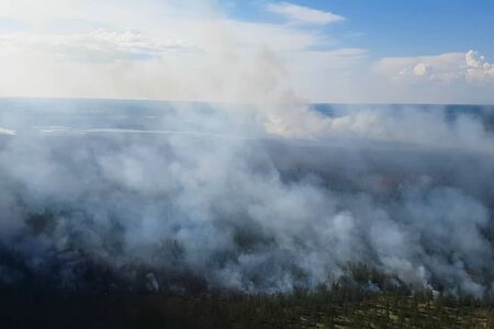 Fire in the forest, burning trees and grass. Natural fires in Russia.の写真素材