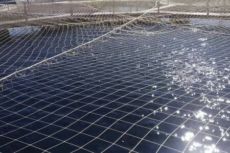 Fish farm on the lake, covered with a net.
