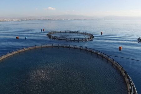 Fish farm in the sea, fenced with a round net.の写真素材