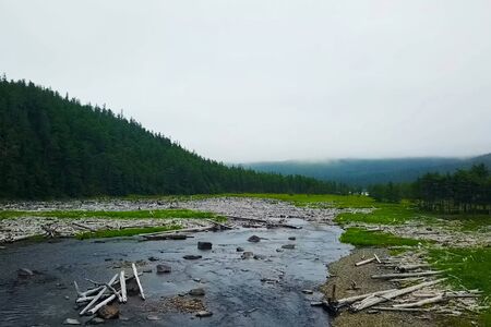 Landscape of taiga, hills and river, log along the river.の写真素材