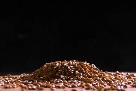 The barley grains on the table are strewn with a slide.の写真素材
