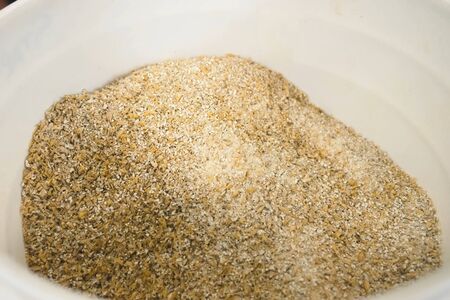 Ground barley in a container, grinding barley.の写真素材