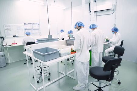 Glamis, USA - August 24, 2018: Laboratory for quality control of grown cannabis for medical purposes. Picking marijuana.のeditorial素材