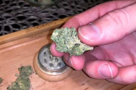 Small dried cannabis inflorescence. Dope marijuana from dried hemp inflorescences.の写真素材