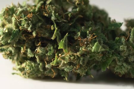 Macro photo of pressed cannabis. Pressed marijuana near.の写真素材