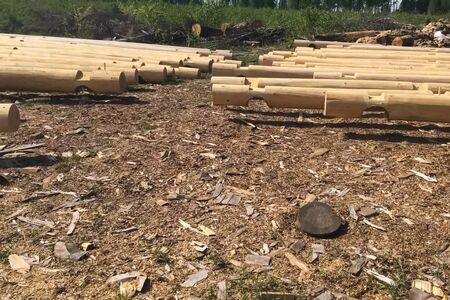 Drying and assembly of a wooden log house at a construction base. Preparation of logs for the assembly of the structure. Materials for a wooden house.の写真素材