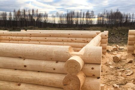 Drying and assembly of a wooden log house at a construction base. Preparation of logs for the assembly of the structure. Materials for a wooden house.の写真素材