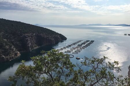 Fish farm at sea. Top view of the fish farm.の写真素材