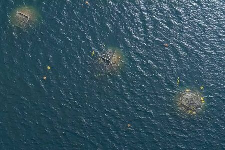 Fish farm at sea. Top view of the fish farm.の写真素材