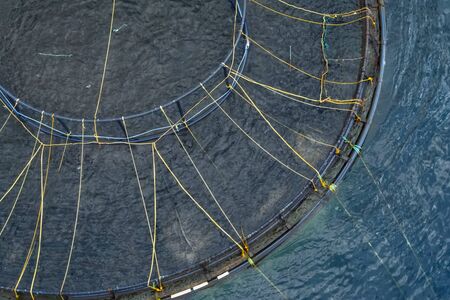 Fish farm at sea. Top view of the fish farm.の写真素材