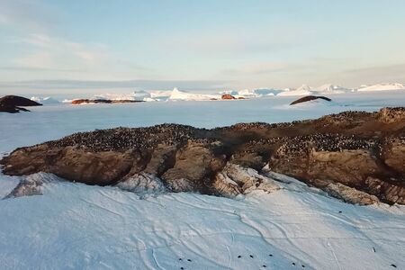 Colonies of penguins in Antarctica on the adjacent rocks.の写真素材