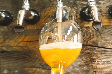 Pouring beer into a glass from the tap at the bar. Beer bottling.の写真素材