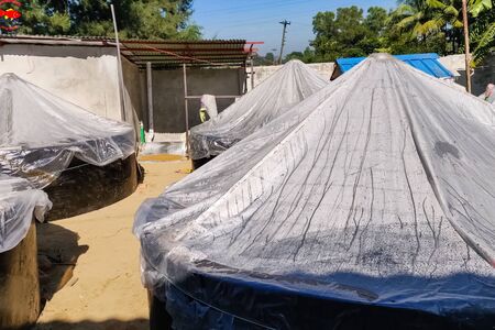 A fish farm inside. containers with water and fish.の写真素材