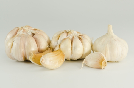 Garlic (isolated on the white background)の写真素材