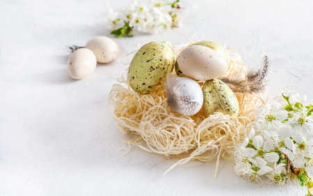 Pastel colored Easter eggs in nest and spring blooming branches on white background.