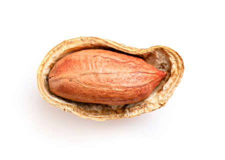 Cross section of peanut nutshell isolated on white background. Top view.