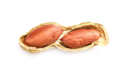 Cross section of peanut nutshell isolated on white background. Top view.