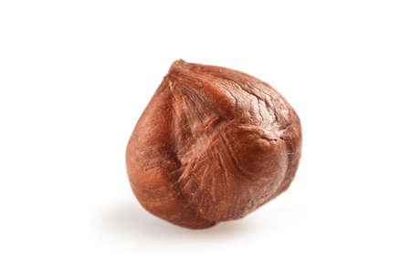 Single hazelnut isolated on white background. Copy space.