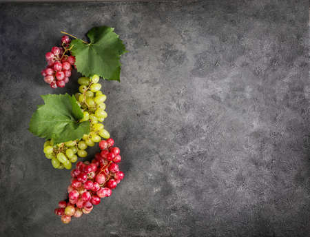 Grape on dark stone background. top viewの写真素材