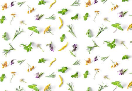Flat lay of various medicinal herbs isolated on white background. Top view. Herbal medicine concept. Herbal medicine concept.の写真素材