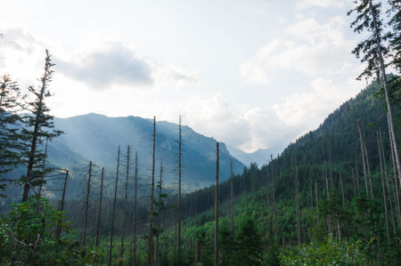 Lake in the Forest with a Scenic View of the Wonderful Breathtaking Mountainの写真素材
