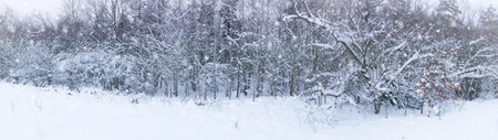 Winter View with bright lightの写真素材