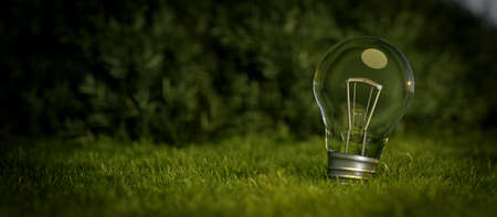 Light bulb on the green grass. banner. Nature and energy saving concept banner background 3D Renderの写真素材