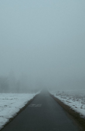 A paved winter pathway fades into ethereal fog, bordered by snow, evoking quiet solitude and mystery...