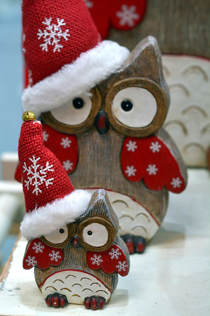 Christmas owls with red capの写真素材