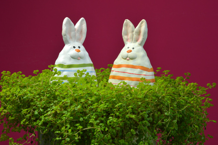 Ceramic easter bunny on red backgroundの写真素材