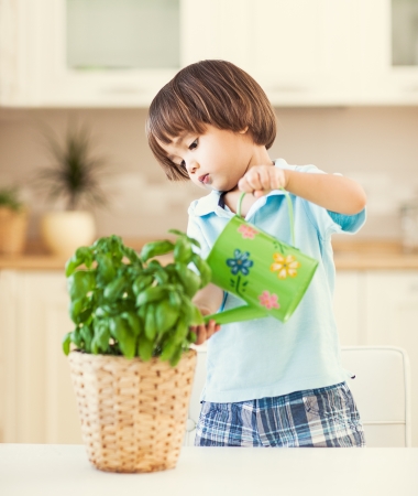 Cute little boy watering a plant in his house.の写真素材