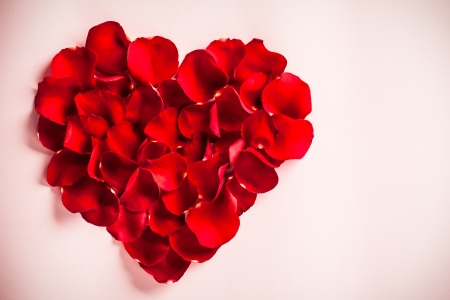Rose petals forming a heart shape.の写真素材