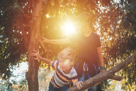 Playful kids climbing on a tree while spending a day in the park.の写真素材