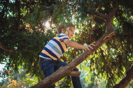 Playful kid climbing on a tree and having fun in the park.の写真素材