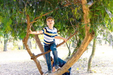 Little boy climbing on a tree while spending a day in nature,の写真素材