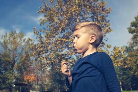 Little boy blowing dandelion in nature. Small kid having fun and blowing dandelions in the park.の写真素材