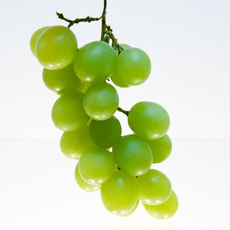 Cluster of green grapesの写真素材