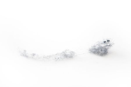 Room dust on a white backgroundの写真素材