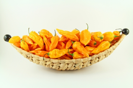 Decorative basket full of yellow fatalii on isolated backgroundの写真素材
