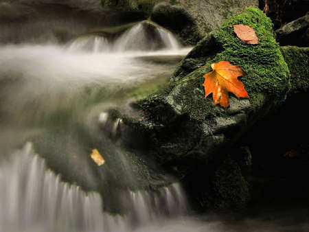 cool waterの写真素材