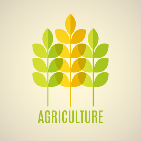 Agricultural vector emblem with green and yellow cereal ears. with transparent elements.のイラスト素材