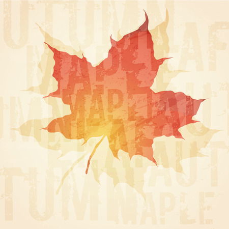 Shape of Single maple leaf in autumn . Textured and stylized vector illustration on the old paper background with text decorationのイラスト素材
