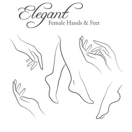 Set of elegant silhouettes in a linear sketch style (female hands and feet). Design elements for skin care industryの写真素材