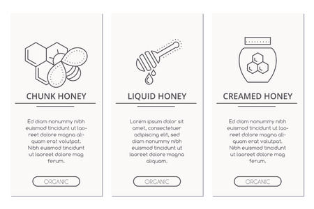 Organic honey card design template with thin line style illustration of chunk honey, liquid honey and creamed honey. Types of honey layout.のイラスト素材