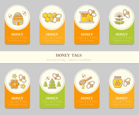 Vector card template with honey emblems. Natural honey tags collection (sorts of honey - pure raw, spring, chunk, meadow, wildflower, forest, liquid, creamed honey). Warm color palette of golden tintsのイラスト素材
