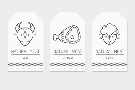 Set of card templates with outlined protein food signsの写真素材