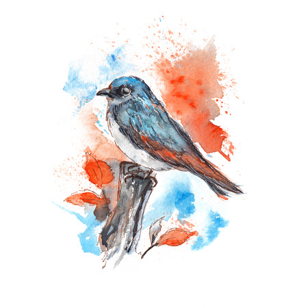 blue bird painted with watercolorの写真素材